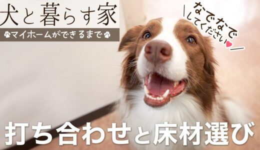 【犬と暮らす家#2】マイホームの打ち合わせに行ってきました｜フローリング材選び！【注文住宅】