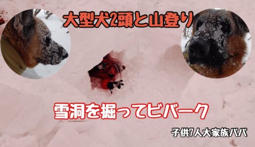 【子供7人大家族パパ】大型犬2頭と厳冬期登山　雪洞を掘って一泊　ふざけた装備