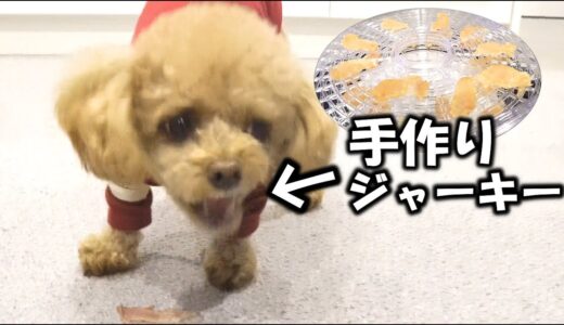 犬用ジャーキーを手作りしたら反応がスゴかった！