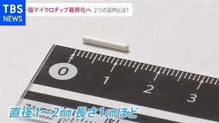 登録内容と目的は？ 犬猫にマイクロチップ義務化へ【news23】