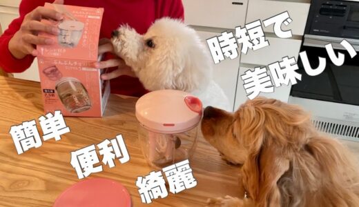 【犬のご飯】我が家に革命が起きました