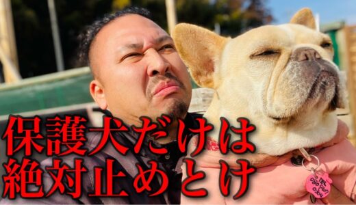 殺処分を待つ保護犬を引き取ってはいけない理由