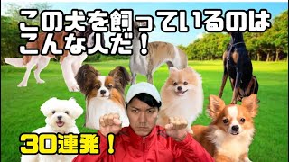 この犬を飼っているのはこんな人だ！【30種類】【偏見シリーズ】【ドーベルマン】【パピヨン】【ヨークシャテリア】【セントバーナード】【シベリアンハスキー】【ポメラニアン】