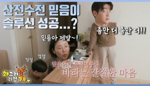 산전수전 犬 믿음이의 솔루션 성공~했을까요??