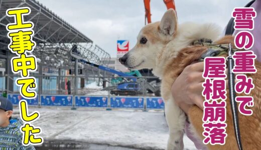 大雪で屋根が崩落したホームセンターに犬洗いに来ました