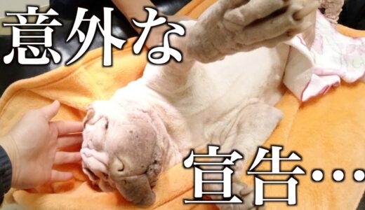 世界一珍しい犬種の健康診断で恐れていた病気が見つかった瞬間…