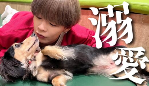 犬系男子が犬カフェでたくさん癒されてきました🐶❤️