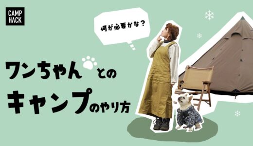 【犬連れキャンプ】一泊二日キャンプで何があると便利？キャンプギア＆ドッググッズ紹介