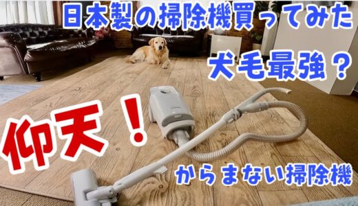 日本製の掃除機買ってみたらびっくり！犬毛問題解決　ゴールデンレトリバー