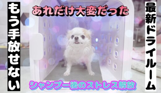 犬も飼い主もシャンプー後のストレスから解放される魔法の箱