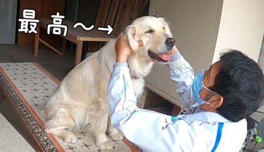 【大型犬好きなら分かる！】こうなっちゃうんですよ。