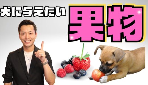 【犬におすすめの果物５選】太りにくい果物を厳選！【低GI】