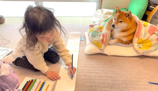 ３歳娘が似顔絵を描く間、見事にモデル犬としての役目を果たす柴犬