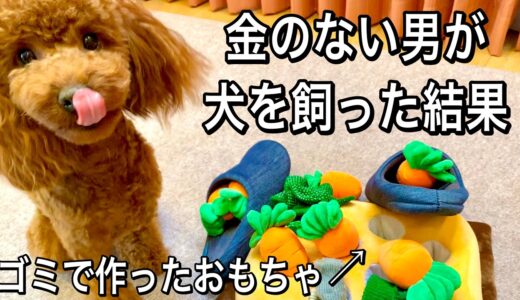 貯金残高300円男､犬を飼う【トイプードル】