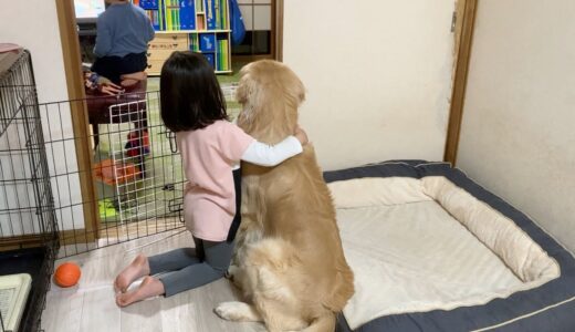 教育TVに夢中なのは幼児も１歳犬も同じらしいw