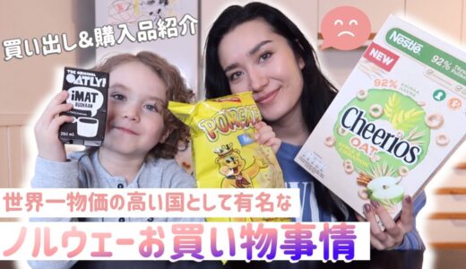 ノルウェーのスーパー買い出し＆購入品紹介｜犬が家にやってきたとある日｜北欧生活