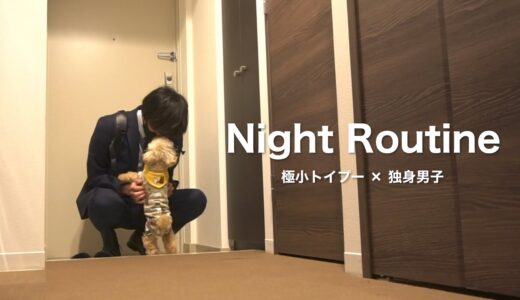 【ナイトルーティン】一人暮らしで犬を飼う社会人独身男の華金の夜 / トイプードル