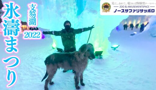 【毛が凍る】世界一大きな犬種と氷の世界へ【氷濤まつり支笏湖】