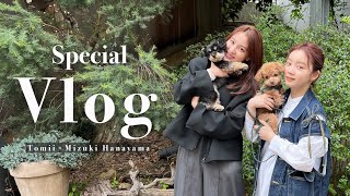 【犬VLOG】愛犬を連れて代官山をお散歩🐕いろんなお話ができました【チワプー】【カフェ】【コラボ】