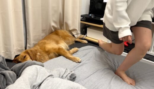 爆睡犬に気づかれずに家から出て帰ってくるママ