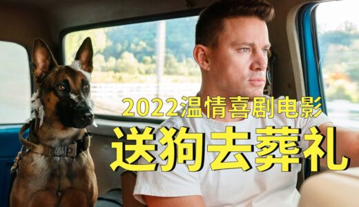 【牛叔】狂暴军犬见人就咬，退役兵王扛起来就走《忠犬》最终凑成一对！