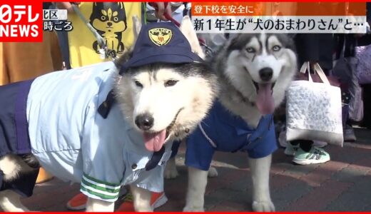 【犬のおまわりさん】新１年生らと横断訓練  登下校を安全に