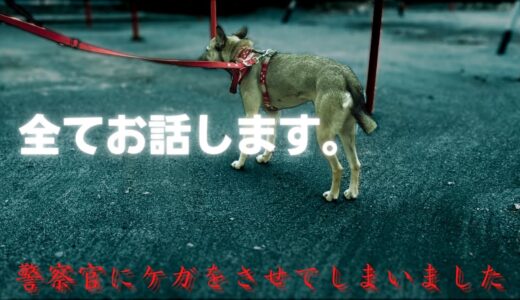 【保護犬アッチャン】警察官に咬み付きケガさせた件すべてお話します。