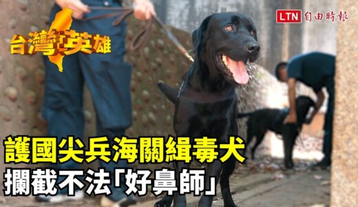 台灣英雄》護國尖兵海關緝毒犬　攔截不法「好鼻師」