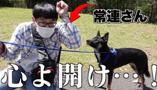 ショーの常連さんが元保護犬の心を開いた奇跡の動画かと思いきや…