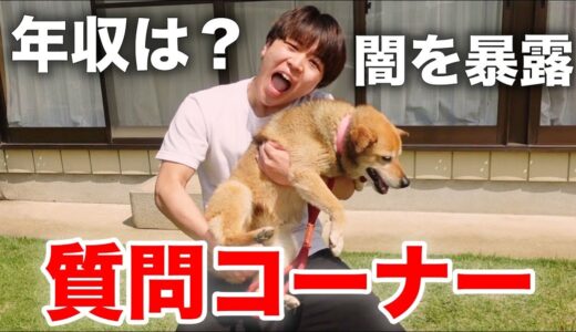 【質問コーナー】犬と暮らすぼっちネオニートが全て正直に答えました。