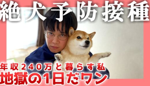 【年収240万】絶犬予防接種【柴犬】|  地獄の1日だワン