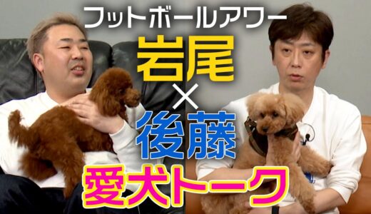 【岩尾×後藤】楽屋で2人きりトーク【トイプードル×犬のしつけ】