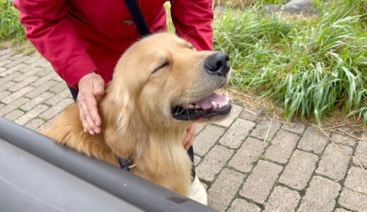 犬好きのお姉さんに声を掛けられました！