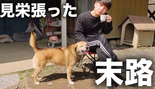 犬と暮らすズボラなネオニートが丁寧な暮らしをしてみた結果ww