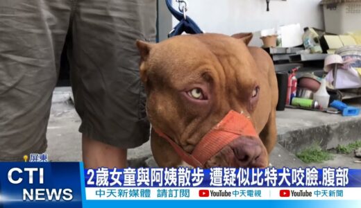 【每日必看】又是比特犬? 2歲女童遭狠咬 滿臉血多處傷@中天新聞 20220404