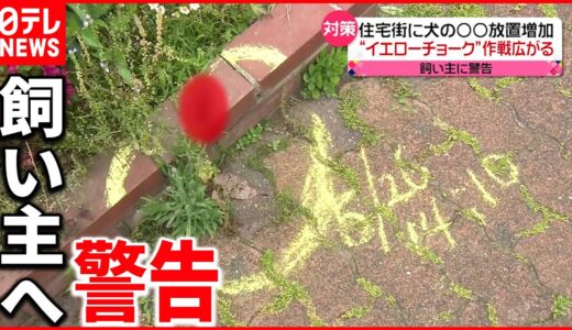 【犬の散歩“マナー違反”】イエローチョーク作戦広がる