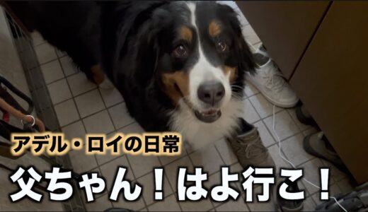 大型犬連れの旅・三重県へオフ会に参加【2022年GW】