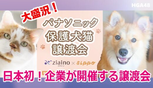 日本最大級！🐶パナソニック保護犬猫譲渡会🐱大手企業が開催する譲渡会は日本初！著名愛護家も応援に駆けつけた♪