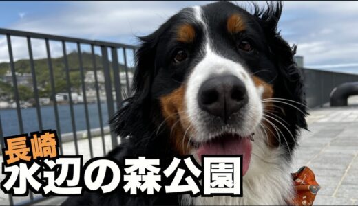 犬連れ長崎の旅・お散歩と食事にちょうどいい感じ