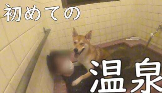 怖がりな保護犬ワンジロー、初めての温泉！釣り！