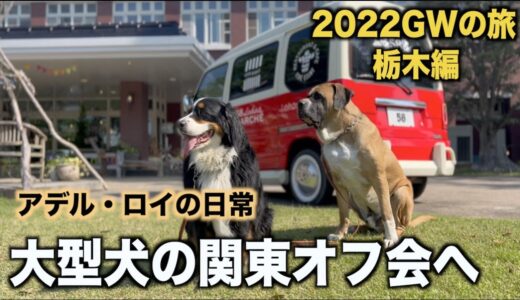 大型犬連れの旅・栃木への旅【2022年GW】