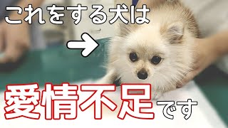 飼い主に愛されていない犬が見せるサイン【犬の仕草】