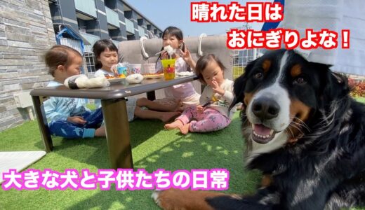 庭でおにぎりパーティーに参加する大型犬