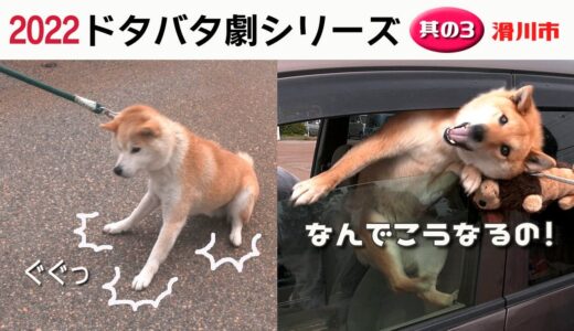 2022狂犬病予防注射会場ドタバタ劇 其の３・滑川市