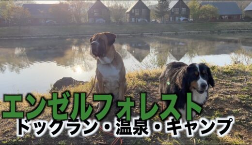 存分に楽しんだ！犬連れエンゼルフォレスト那須白河