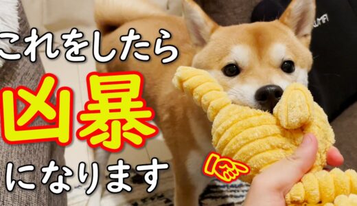 【音声解説】要注意！犬が凶暴化する飼い主の接し方