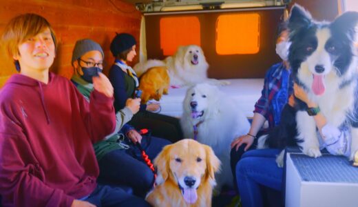 大型犬たちに祝われる誕生日は一生の思い出になりました…