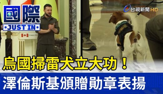 烏國掃雷犬立大功！澤倫斯基頒贈勛章表揚【國際快訊】