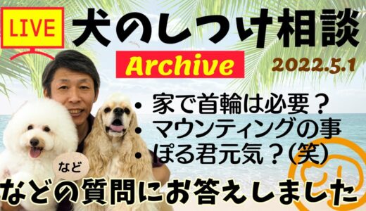 犬のしつけ相談ライブ☆ゲリラライブ 【アーカイブ 2022/05/01】