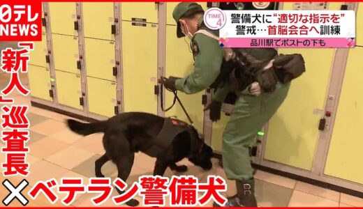 【ベテラン警備犬】バイデン大統領の来日に向け…“新人”巡査長が訓練